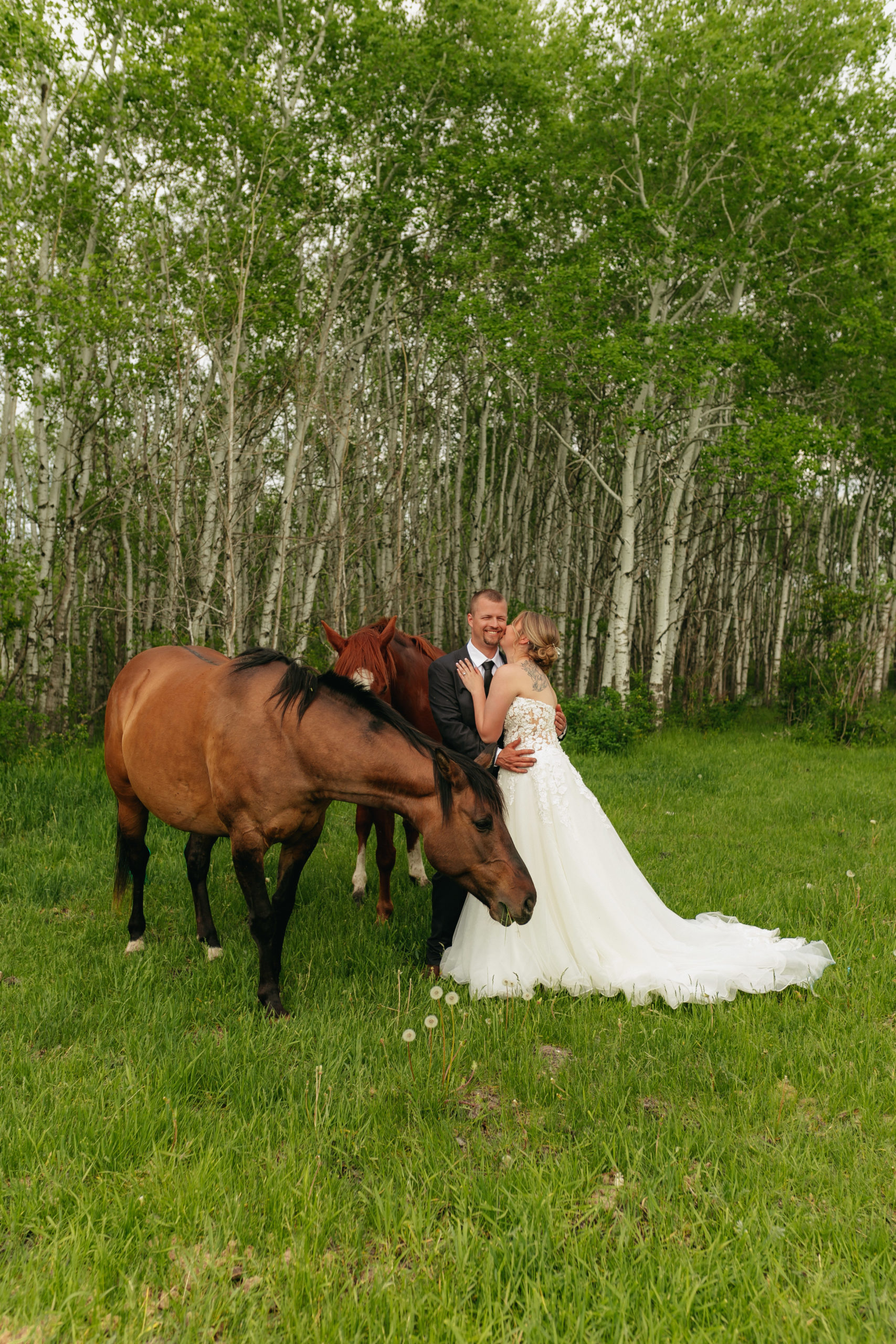 Bride & Groom kissing in front of their horses