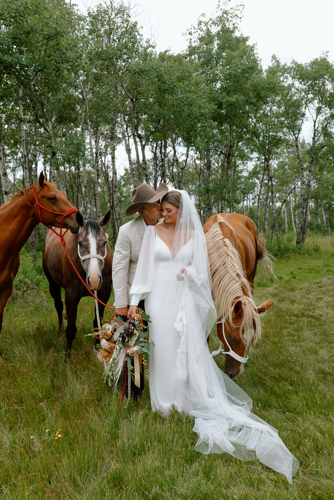 Bride and groom kissing in a field with their horses surrounding them